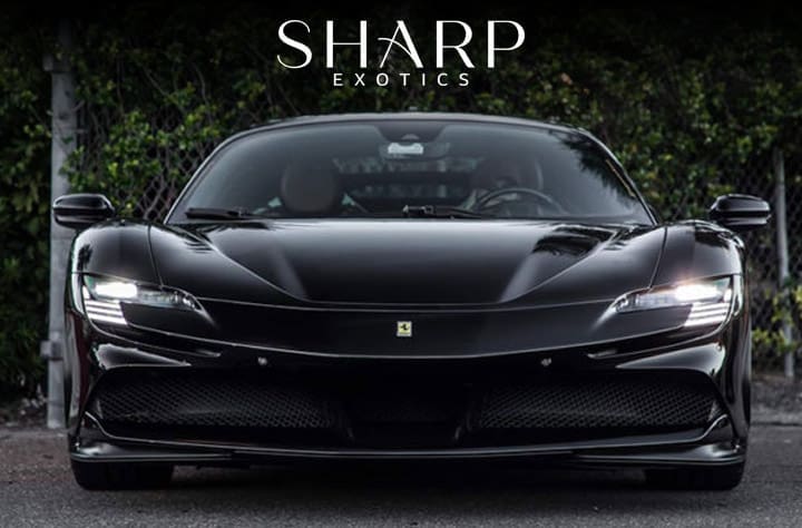 Black sports car with sleek design, parked in front of a chain-link fence with greenery