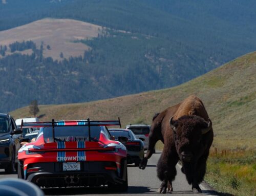 Sharp Exotics Takes Over America’s Most Elite Supercar Rallies — Supercar Becca Leads the Charge