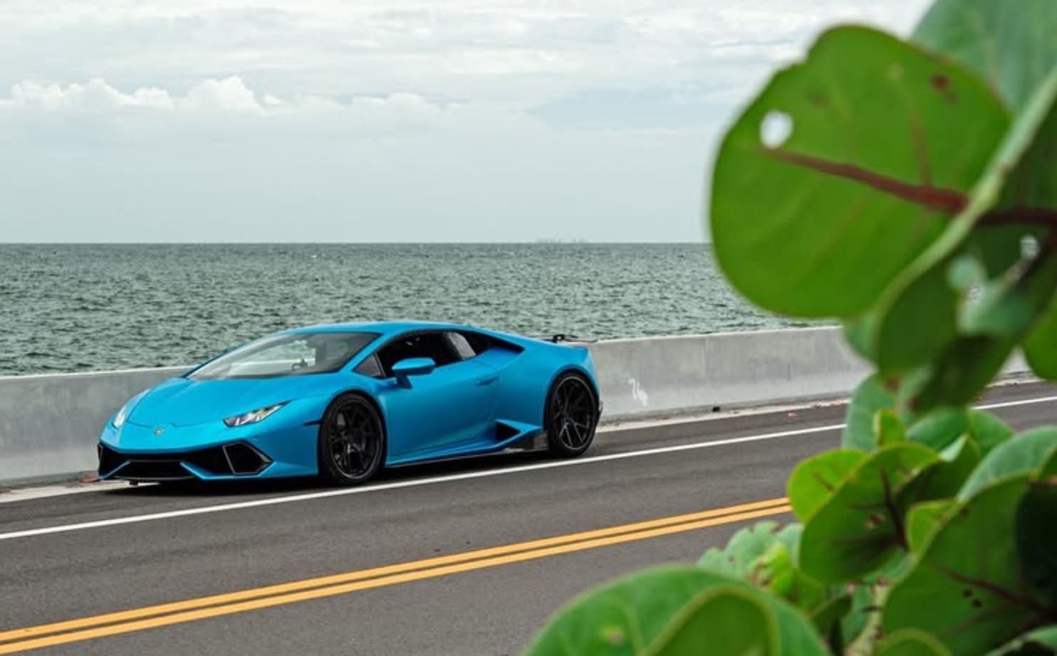 Blue lambo huracan parked on a coastal road with ocean in the background and green leaves in the foreground.